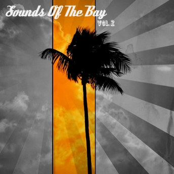 Sounds Of The Bay Vol.2 - Instrumental Album All Produced By Tao G
